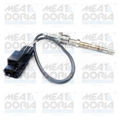 Sensor, exhaust gas temperature